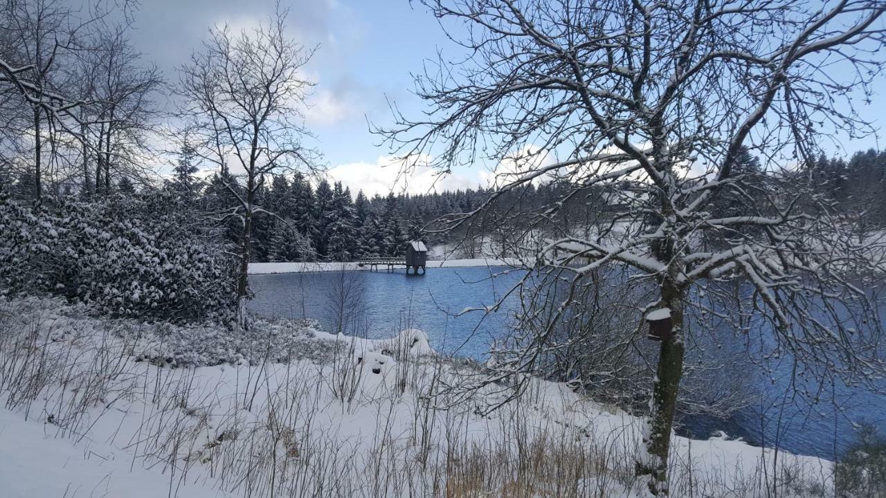 Hahnenklee Ferienpark 1-411 Goslar Luaran gambar